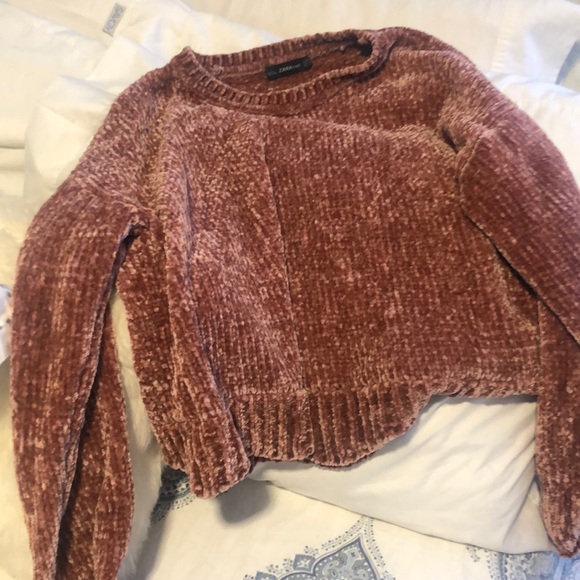 Zara Other - Sweatshirt